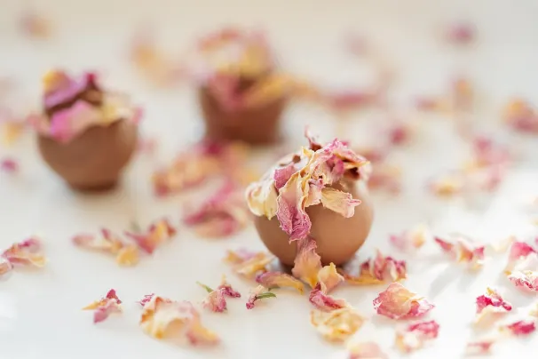 Kasino Sun Palace Apl Android/iOS